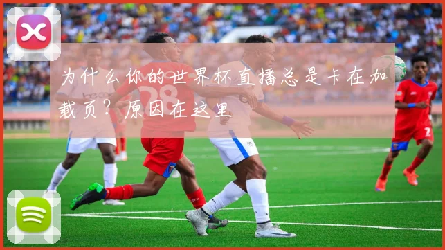 为什么你的世界杯直播总是卡在加载页?原因在这里