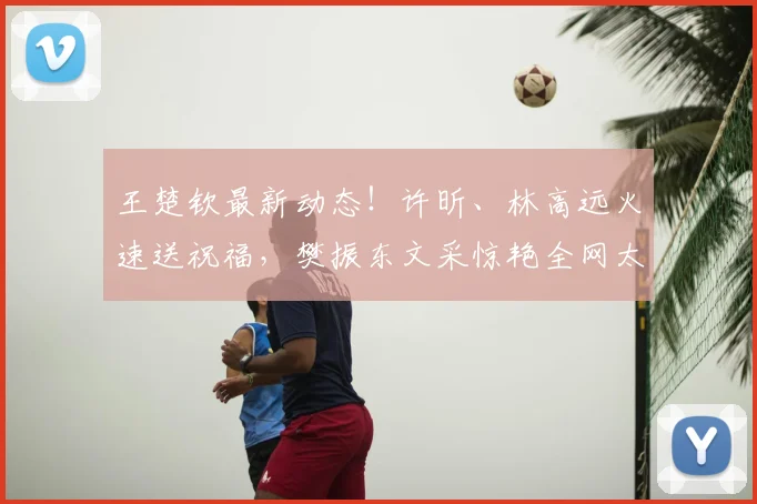 王楚钦最新动态！许昕、林高远火速送祝福，樊振东文采惊艳全网太暖心