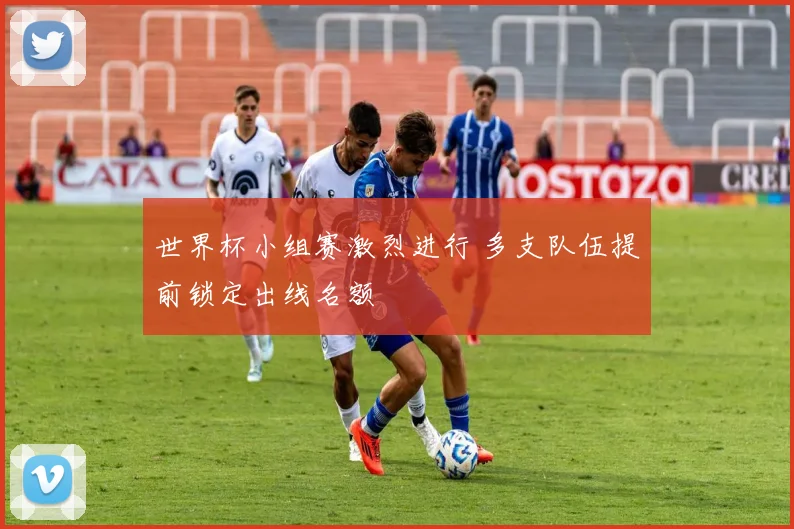 世界杯小组赛激烈进行 多支队伍提前锁定出线名额