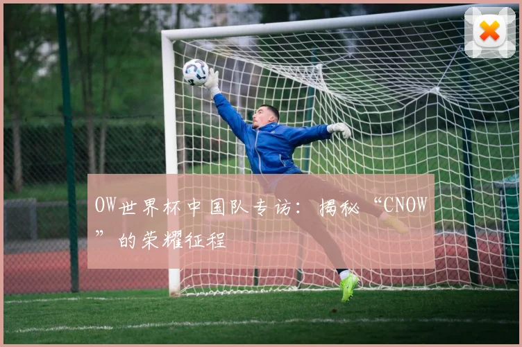 OW世界杯中国队专访:揭秘“CNOW”的荣耀征程