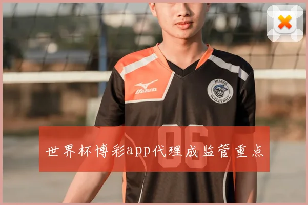 世界杯博彩app代理成监管重点