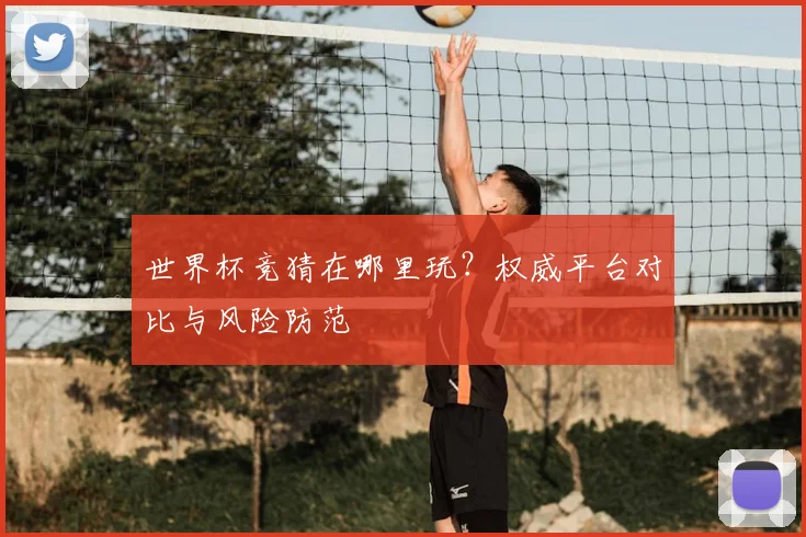 世界杯竞猜在哪里玩?权威平台对比与风险防范