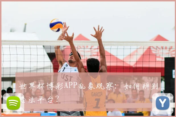 世界杯博彩APP乱象观察：如何辨别合法平台？