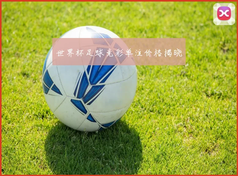 世界杯足球竞彩单注价格揭晓