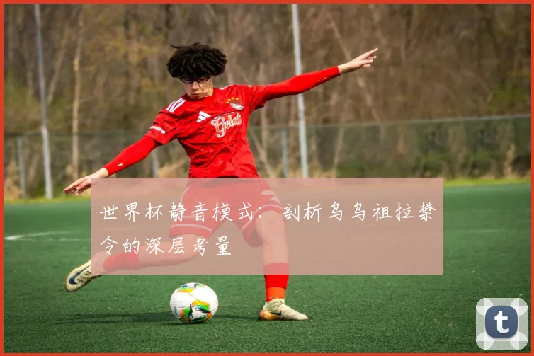 世界杯静音模式:剖析乌乌祖拉禁令的深层考量