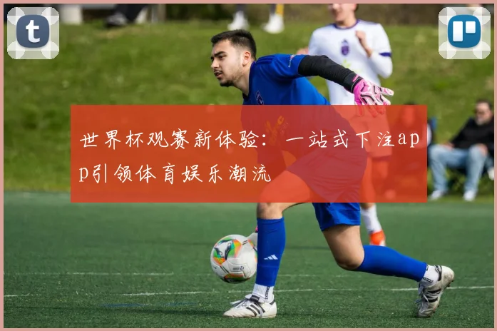 世界杯观赛新体验：一站式下注app引领体育娱乐潮流