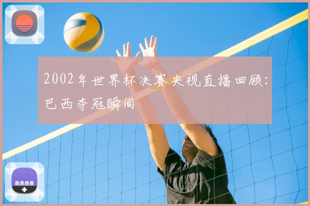 2002年世界杯决赛央视直播回顾：巴西夺冠瞬间