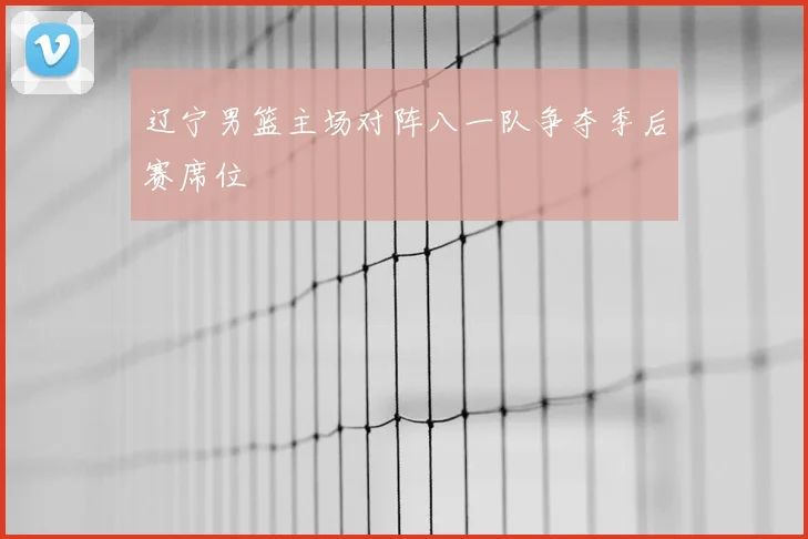 辽宁男篮主场对阵八一队争夺季后赛席位