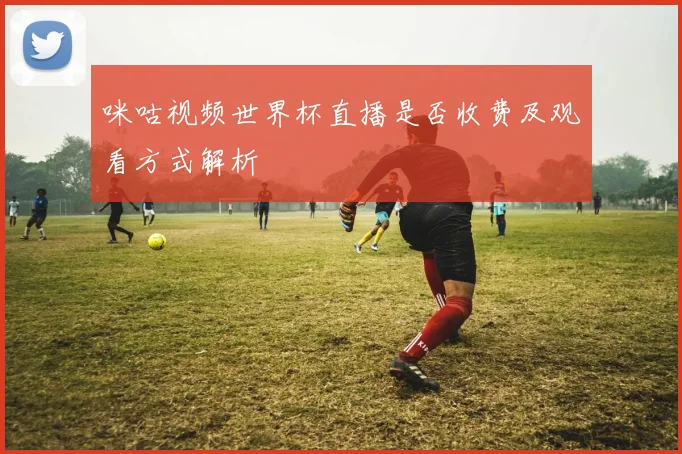 咪咕视频世界杯直播是否收费及观看方式解析