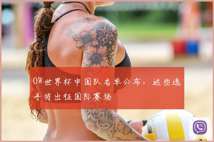 OW世界杯中国队名单公布,这些选手将出征国际赛场