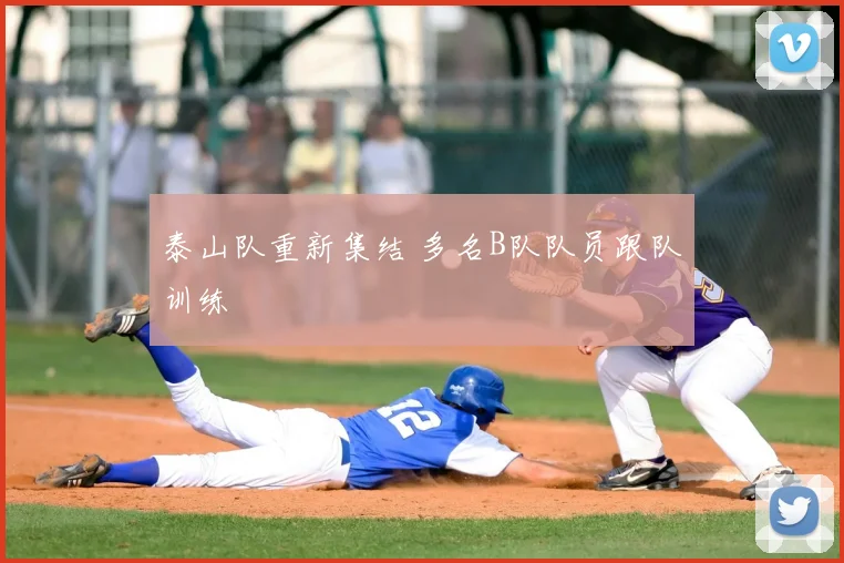 泰山队重新集结 多名B队队员跟队训练