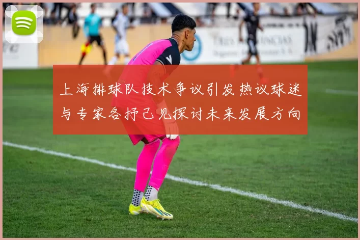 上海排球队技术争议引发热议球迷与专家各抒己见探讨未来发展方向