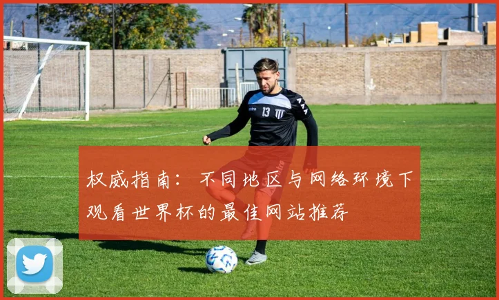 权威指南：不同地区与网络环境下观看世界杯的最佳网站推荐