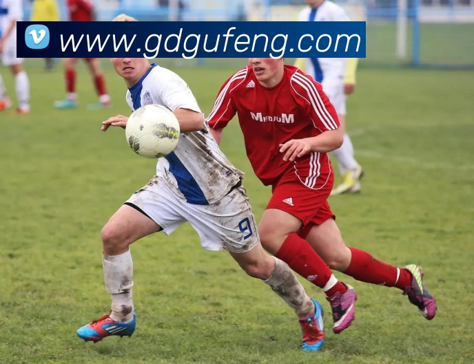 华体会体育平台生态图