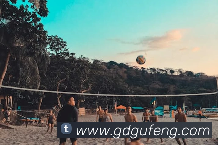 华体会体育APP 封面图